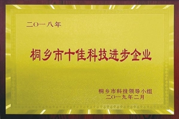 welcometo欢迎光临888集团集团荣获2018年桐乡市十佳科技进步企业